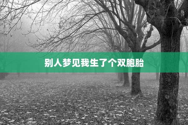 别人梦见我生了个双胞胎