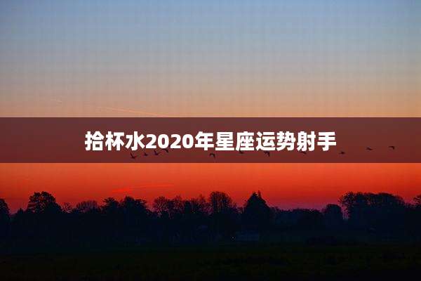 拾杯水2020年星座运势射手