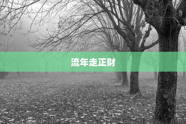 流年走正财