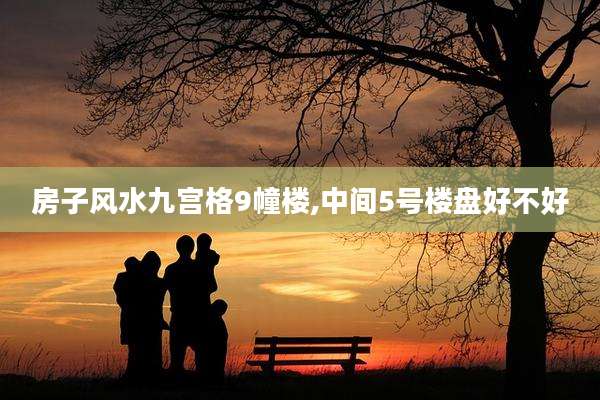 房子风水九宫格9幢楼,中间5号楼盘好不好