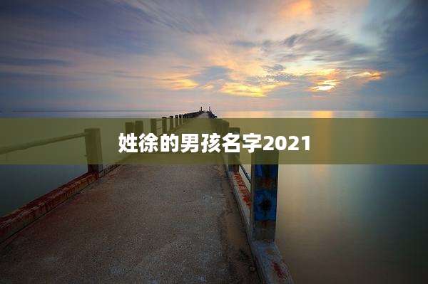 姓徐的男孩名字2021