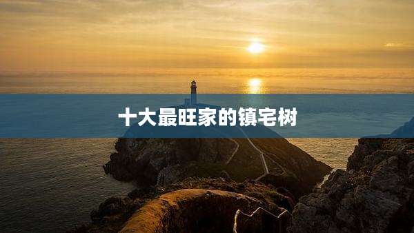 十大最旺家的镇宅树