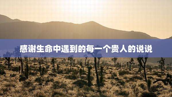 感谢生命中遇到的每一个贵人的说说