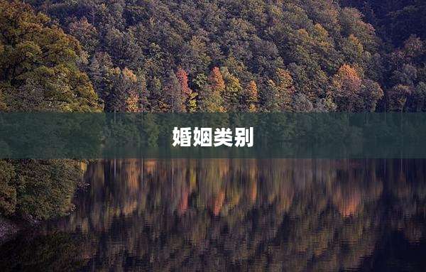 婚姻类别
