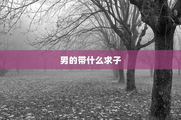 男的带什么求子