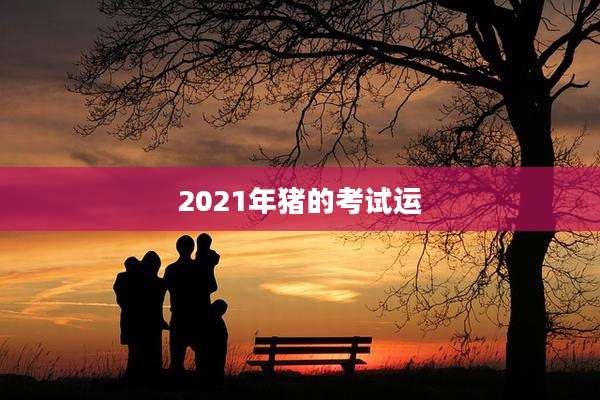 2021年猪的考试运
