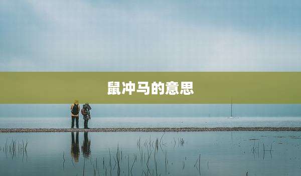 鼠冲马的意思