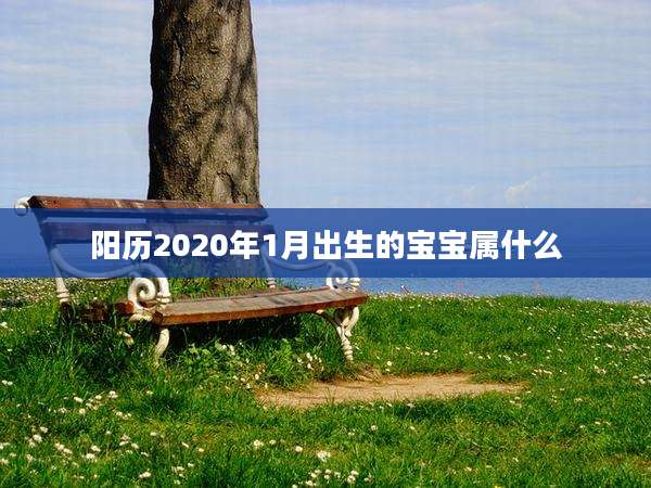 阳历2020年1月出生的宝宝属什么