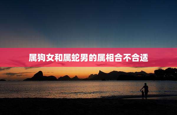 属狗女和属蛇男的属相合不合适