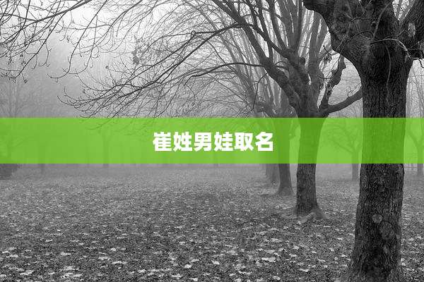 崔姓男娃取名
