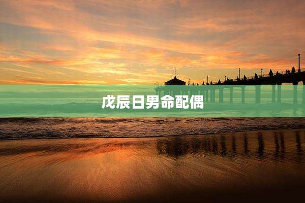 戊辰日男命配偶