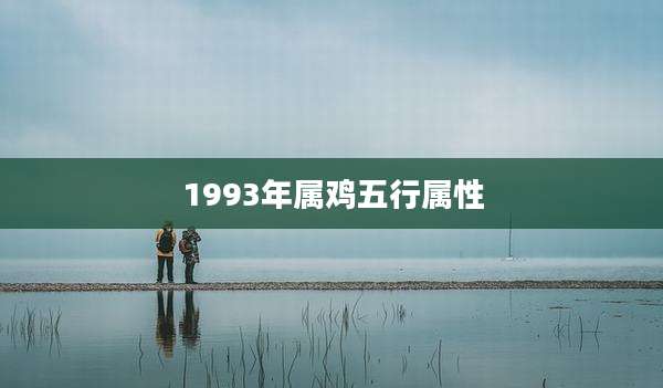 1993年属鸡五行属性