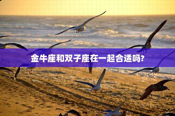 金牛座和双子座在一起合适吗?