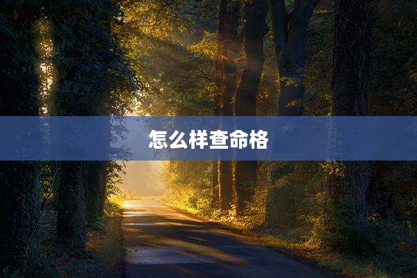 怎么样查命格