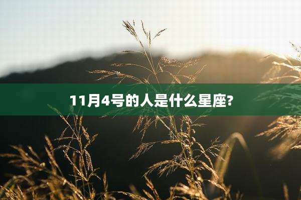 11月4号的人是什么星座?