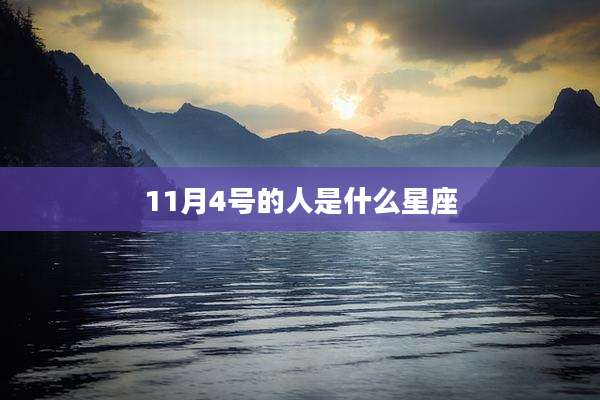 11月4号的人是什么星座