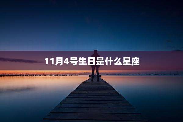 11月4号生日是什么星座