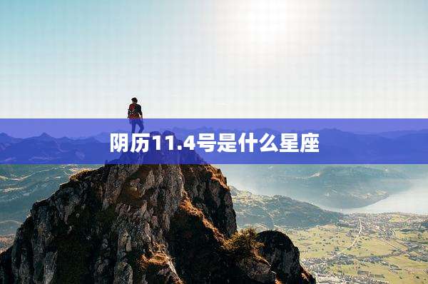 阴历11.4号是什么星座