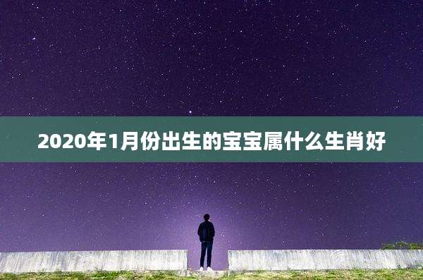 2020年1月份出生的宝宝属什么生肖好