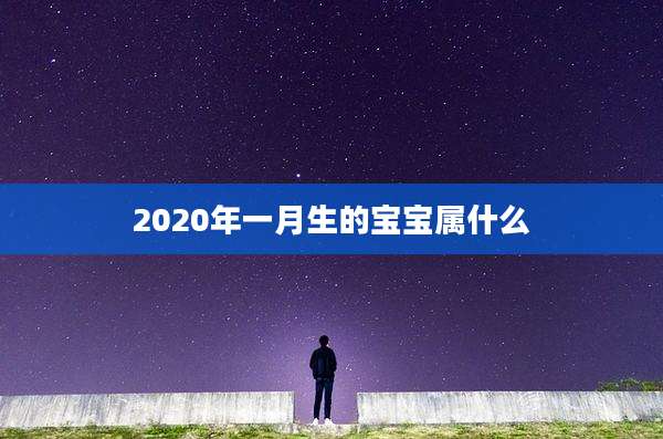 2020年一月生的宝宝属什么