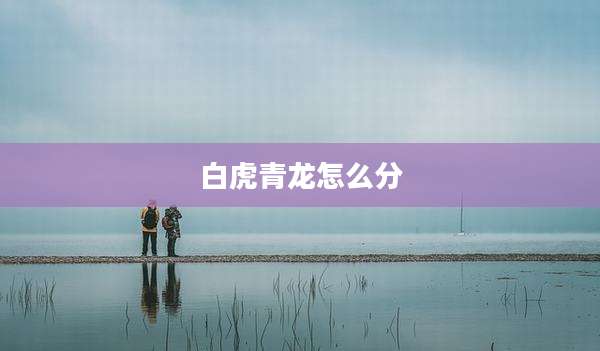 白虎青龙怎么分