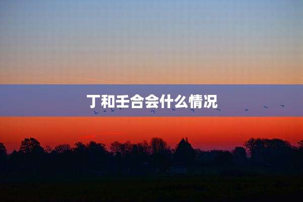 丁和壬合会什么情况
