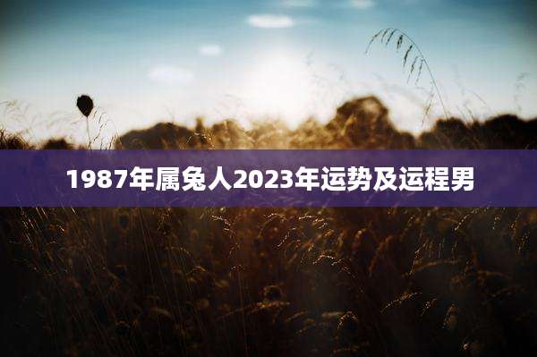 1987年属兔人2023年运势及运程男