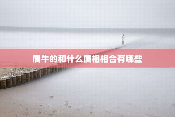 属牛的和什么属相相合有哪些