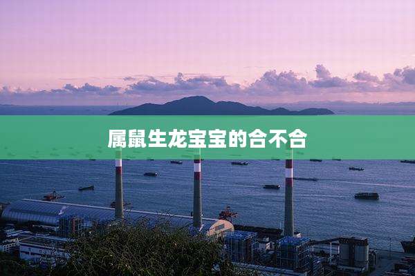 属鼠生龙宝宝的合不合
