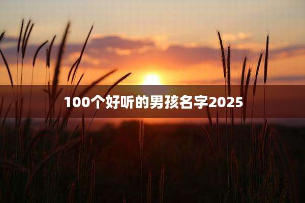 100个好听的男孩名字2025