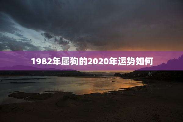 1982年属狗的2020年运势如何