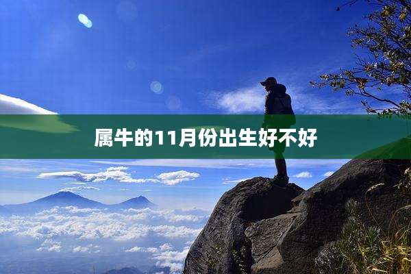 属牛的11月份出生好不好