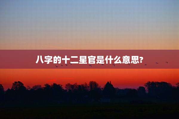 八字的十二星官是什么意思?
