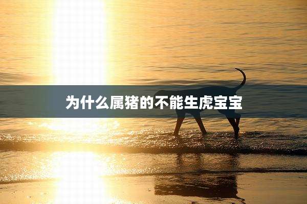 为什么属猪的不能生虎宝宝