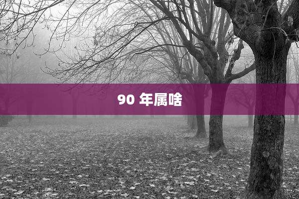 90 年属啥
