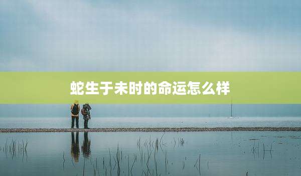 蛇生于未时的命运怎么样