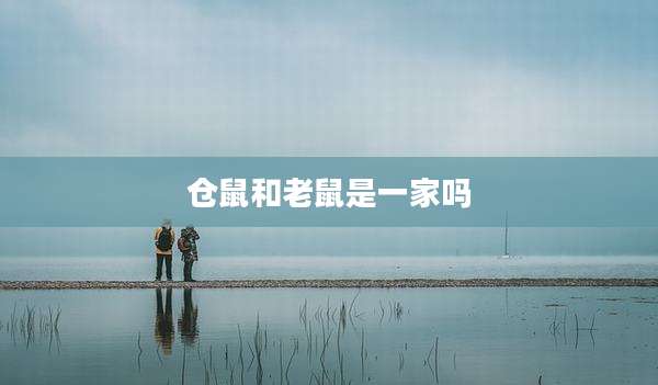 仓鼠和老鼠是一家吗