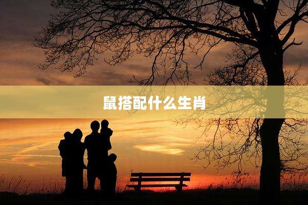 鼠搭配什么生肖