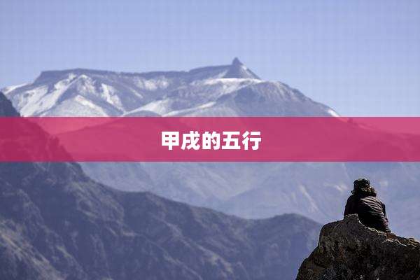 甲戌的五行