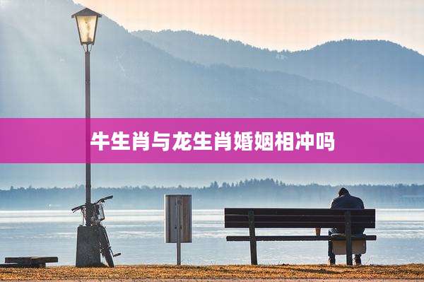 牛生肖与龙生肖婚姻相冲吗