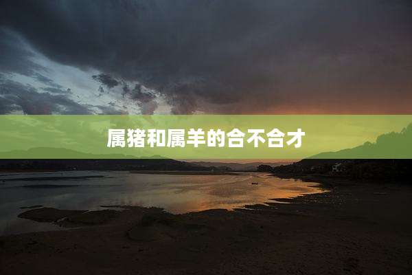 属猪和属羊的合不合才