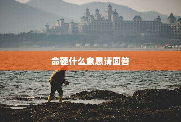 命硬什么意思请回答