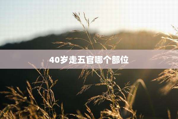 40岁走五官哪个部位