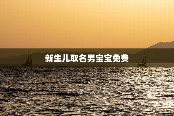 新生儿取名男宝宝免费