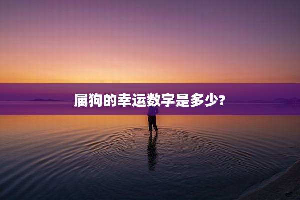 属狗的幸运数字是多少?
