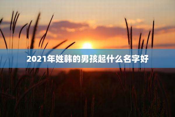 2021年姓韩的男孩起什么名字好