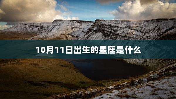 10月11日出生的星座是什么