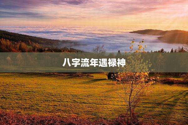 八字流年遇禄神