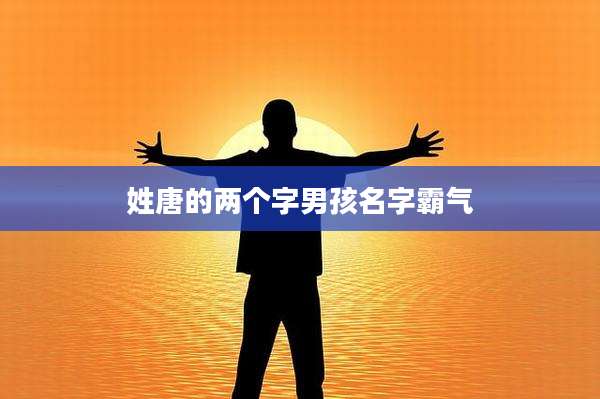 姓唐的两个字男孩名字霸气