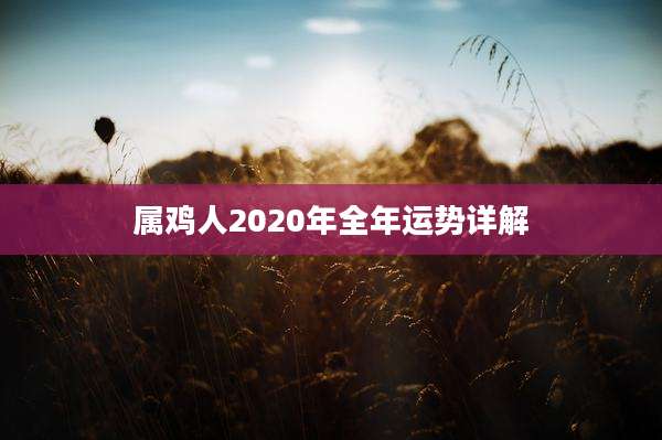 属鸡人2020年全年运势详解